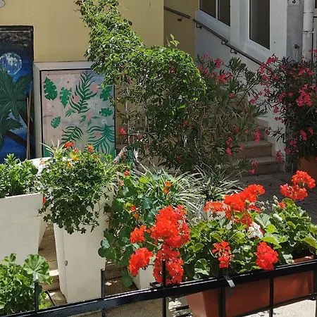 Apartament Emily With Sea & Park View Novigrad (Istria)